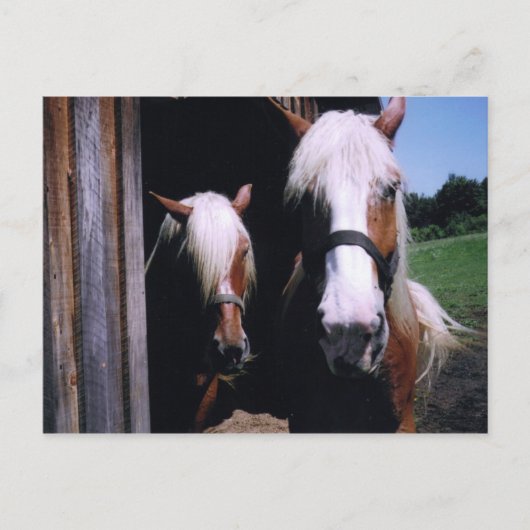 Jeff et Kate Postkarte (Vorderseite)