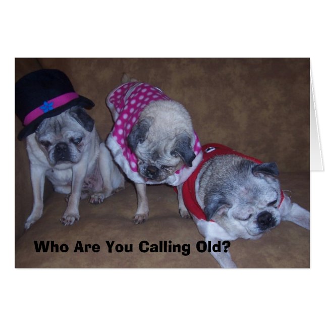 Jeff, Gina, Opa, wer sind Sie... (Vorderseite (Horizontal))