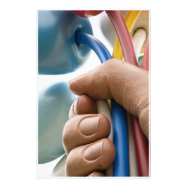 Jeff Koons Skulptur "Bouquet of Tulips" in Paris Fotodruck