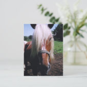 Jeff Postkarte (Stehend Vorderseite)