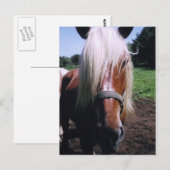 Jeff Postkarte (Vorne/Hinten)