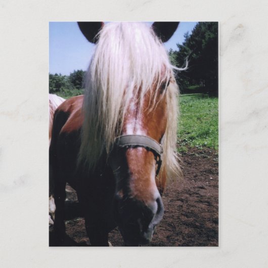 Jeff Postkarte (Vorderseite)