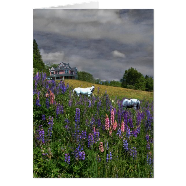 Jefferson Lupine Mindscape (Vorne)