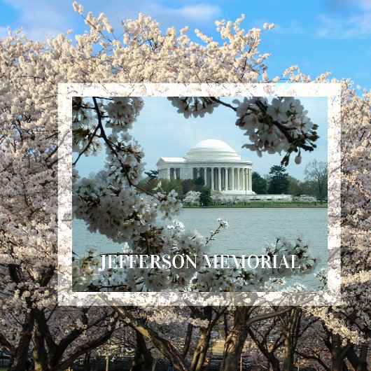 Jefferson Memorial, Kirschblüten, Gezeitenbecken Postkarte