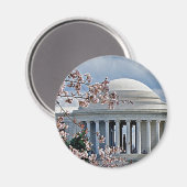 Jefferson Memorial - Kirschblüten Magnet (Vorderseite/Rückseite)