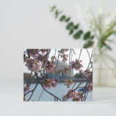 Jefferson Memorial National Cherry Blossom Fest Postkarte (Stehend Vorderseite)