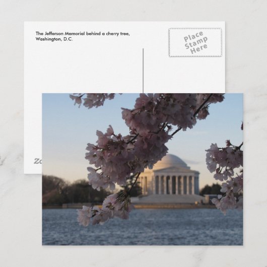 Jefferson Memorial Postkarte (Vorne/Hinten)