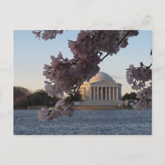 Jefferson Memorial Postkarte (Vorderseite)