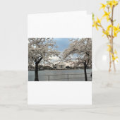 Jefferson Memorial Washington DC Herry Blossoms Karte (Gelbe Blume)