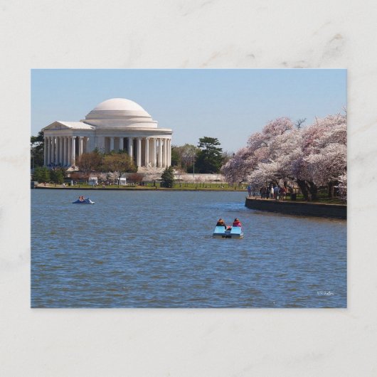 Jefferson Memorial Washington DC Postkarte (Vorderseite)