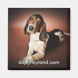 Jefferson mit Besetzung von Magnet