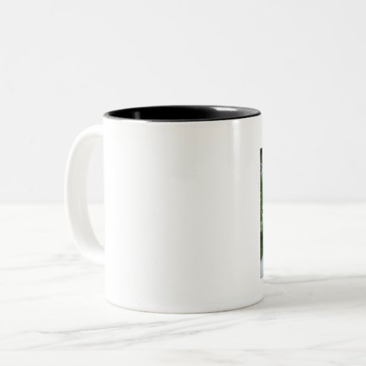 JEFFERY LANDSITZ-SCHALEN-SAMMLUNG ZWEIFARBIGE TASSE (Vorderseite Links)