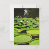 Jegliche Karten (Vorderseite)