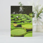 Jegliche Karten (Stehend Vorderseite)