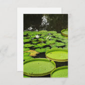 Jegliche Karten (Vorne/Hinten)