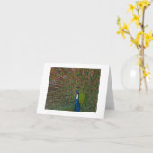 Jegliche Karten (Gelbe Blume)