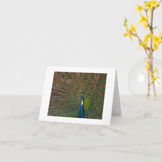 Jegliche Karten (Gelbe Blume)