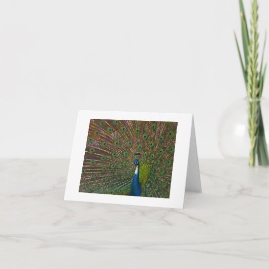 Jegliche Karten (Vorderseite)