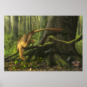 Jeholornis Druck Poster