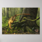 Jeholornis Print Poster (Vorne)
