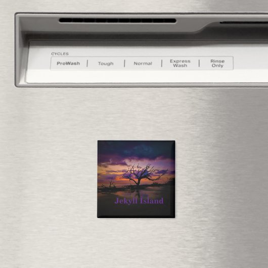 Jekyll-Inselmagnet Magnet (In Situ (Geschirrspüler))