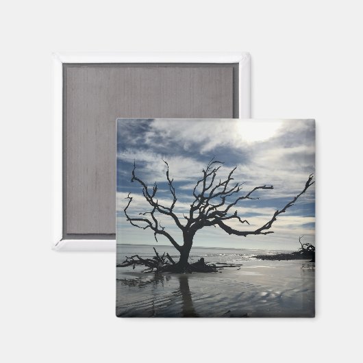 Jekyll Island Georgia Magnet (Vorderseite/Rückseite)