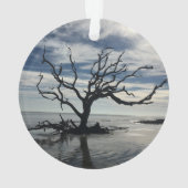 Jekyll Island Georgia Ornament (Rückseite)