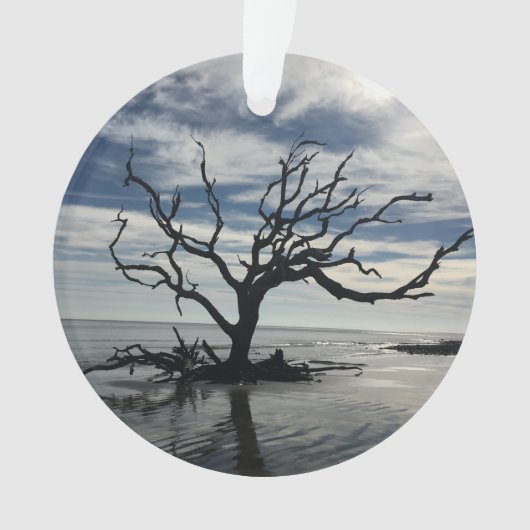 Jekyll Island Georgia Ornament (Vorderseite)