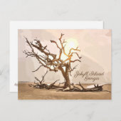 Jekyll Island Georgia Postcard Postkarte (Vorne/Hinten)