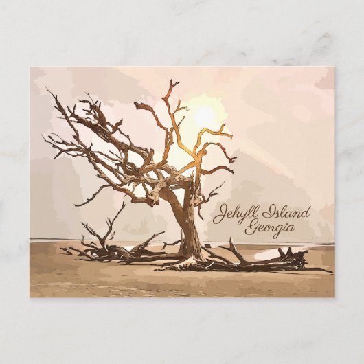 Jekyll Island Georgia Postcard Postkarte (Vorderseite)