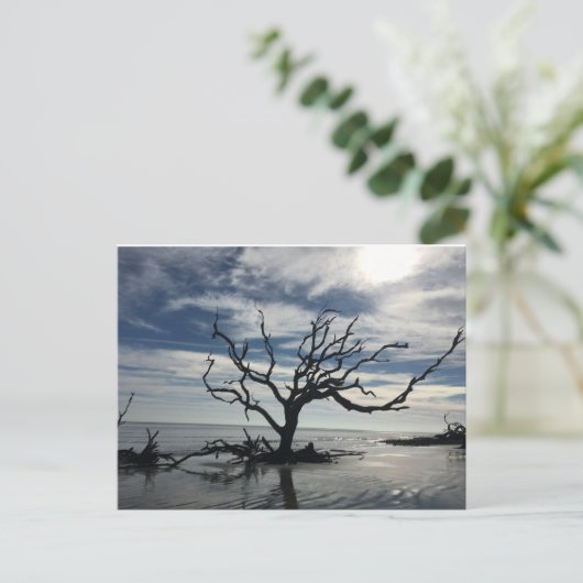 Jekyll Island Georgia Postkarte (Stehend Vorderseite)