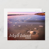 Jekyll Island Georgia Sand Dollar Beach Postkarte (Vorne/Hinten)
