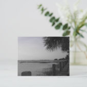 Jekyll Island Postkarte (Stehend Vorderseite)