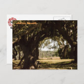 Jekyll Island Weg zum Sumpf Postkarte (Vorne/Hinten)