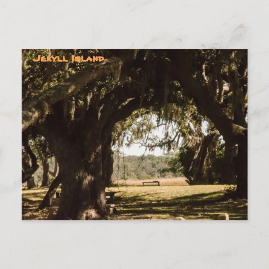 Jekyll Island Weg zum Sumpf Postkarte (Vorderseite)