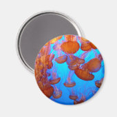 Jellies Pile-Up-Magnet Magnet (Vorderseite/Rückseite)