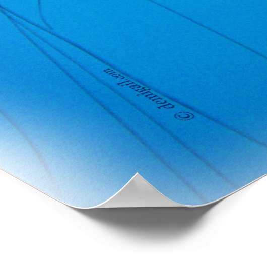 jelly_2646_Paint Poster (Ecke)