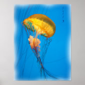 jelly_2646_Paint Poster (Vorne)
