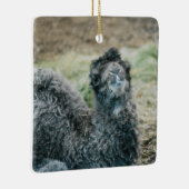 Jelly Baba Keramikornament (Rechts)