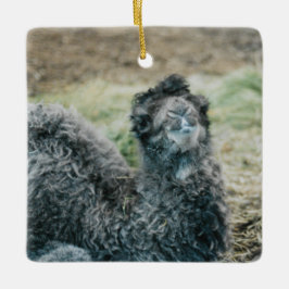 Jelly Baba Keramikornament