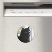 Jelly Bean, die schwarze Lakritze, Magnet (In Situ (Geschirrspüler))