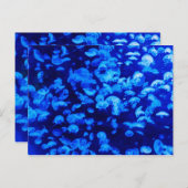 Jelly Blue Fish Postkarte (Vorne/Hinten)