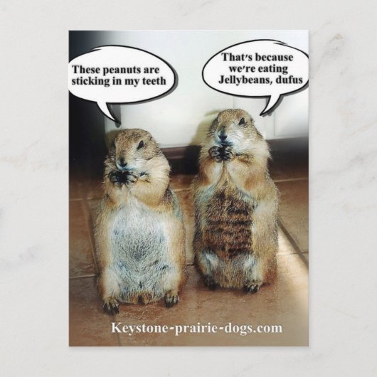 Jelly Boans Postkarte (Vorderseite)