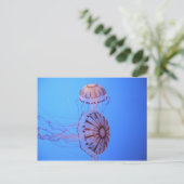 Jelly Fish - Monterey Bay, CA Postkarte (Stehend Vorderseite)