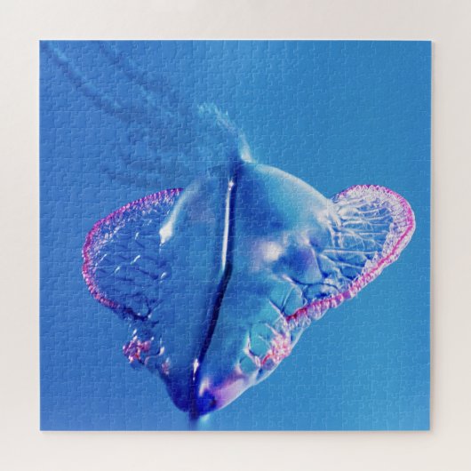 Jelly Fish Portugese Man of War Puzzle (Horizontal)