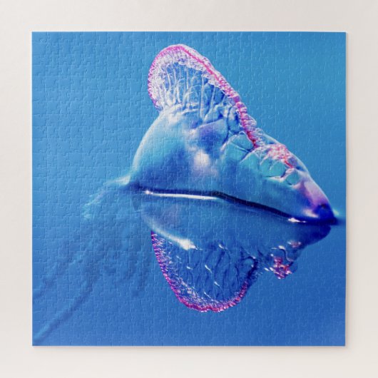 Jelly Fish Portugese Man of War Puzzle (Vertikal)