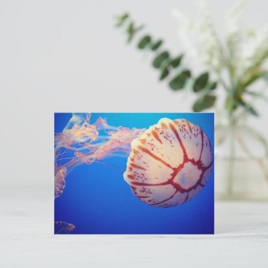 Jelly Fish Post Card Postkarte (Stehend Vorderseite)