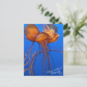 Jelly Fish Postcard Postkarte (Stehend Vorderseite)