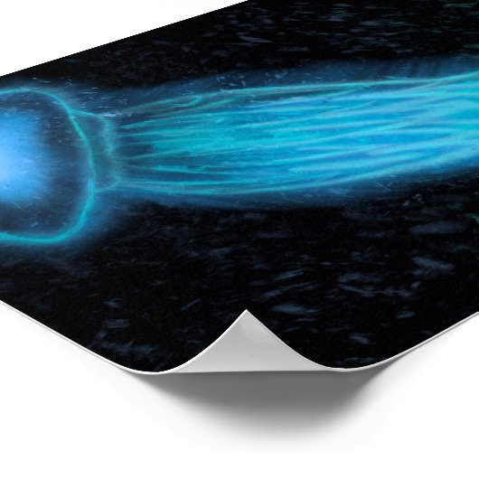 Jelly Fish Poster (Ecke)