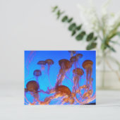 Jelly Fish Postkarte (Stehend Vorderseite)